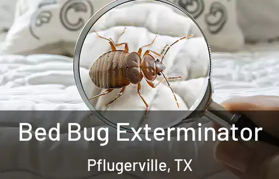  Bed Bug Exterminator Pflugerville, TX