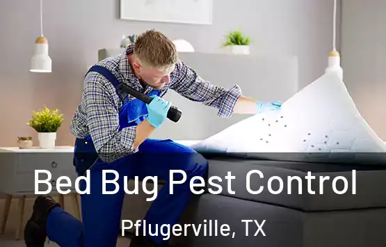  Bed Bug Pest Control Pflugerville, TX