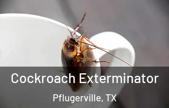  Cockroach Exterminator Pflugerville, TX