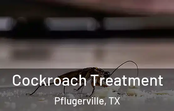  Cockroach Treatment Pflugerville, TX