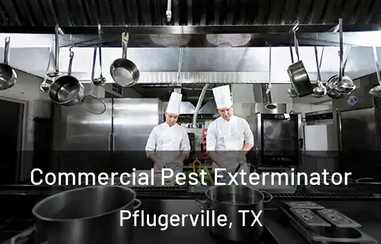  Commercial Pest Exterminator Pflugerville, TX