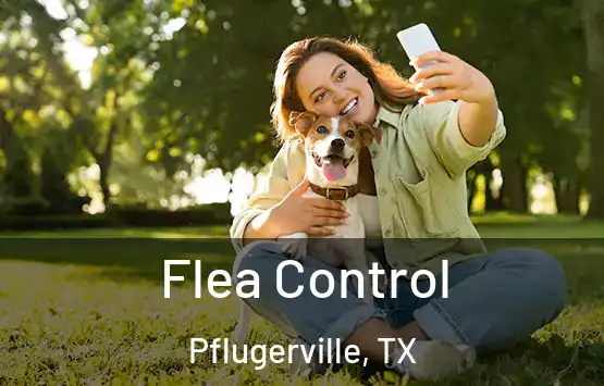  Flea Control Pflugerville, TX