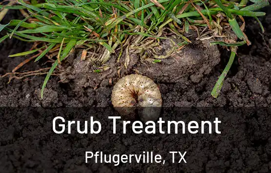  Grub Treatment Pflugerville, TX