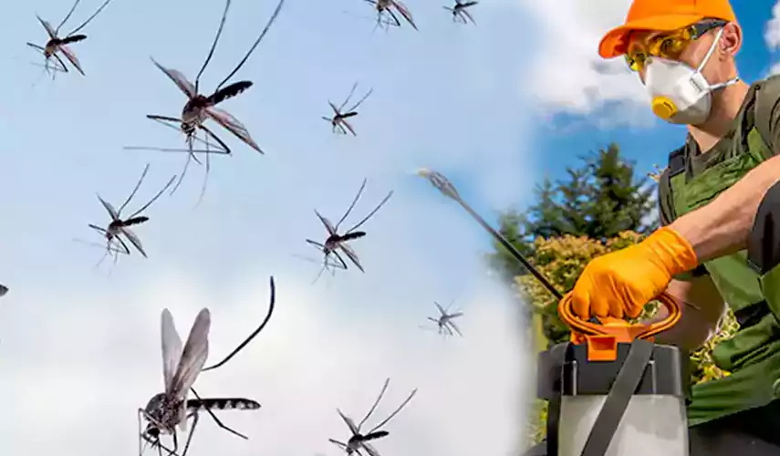Mosquito Pest Control in Pflugerville, TX
