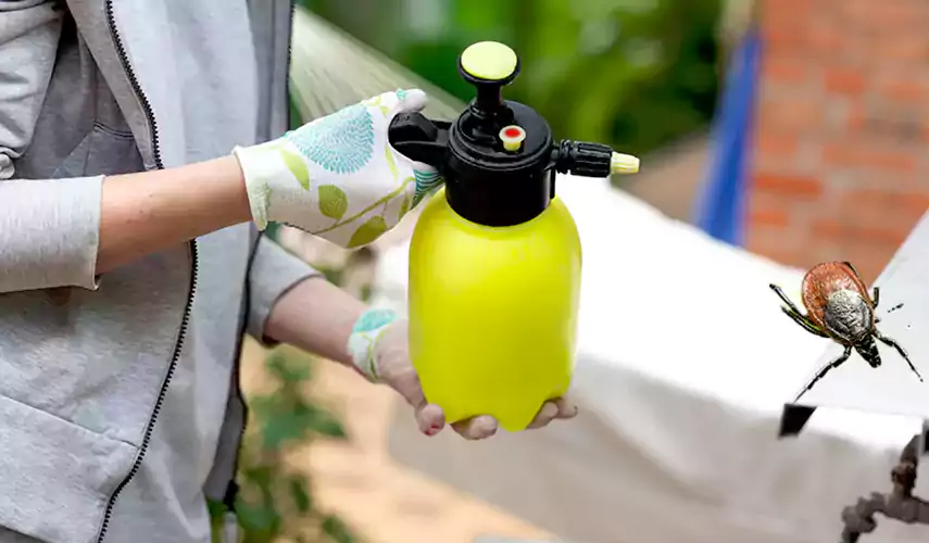 Ticks Pest Control Pflugerville, Texas