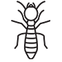 Termites Pest Control Pflugerville, Texas