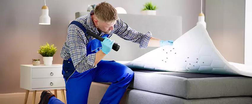 bed-bug-treatment in Pflugerville, TX