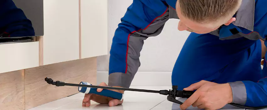 Commercial Pest Control for Offices in Pflugerville, TX