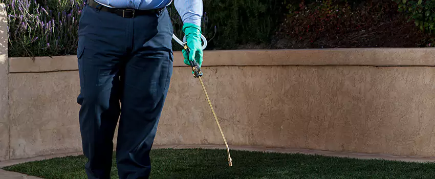 Emergency Pest Extermination for Children and Pets Pflugerville, TX