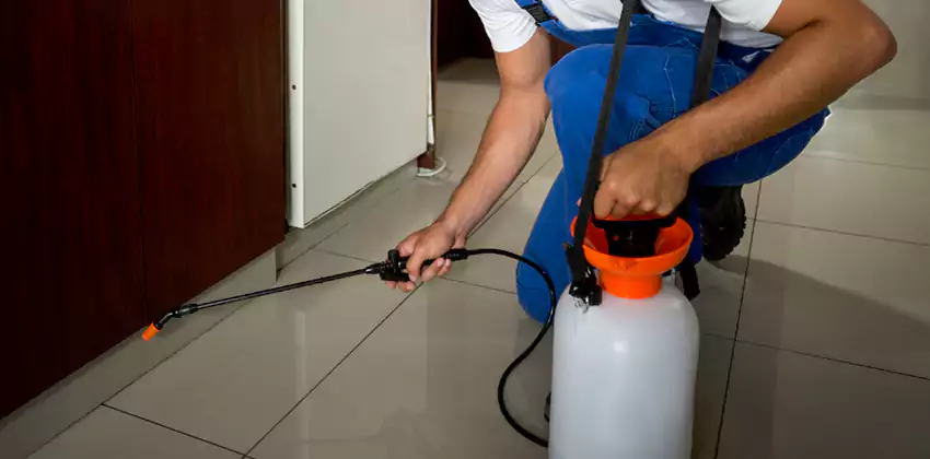 Commercial Flea Exterminator Company in Pflugerville, TX
