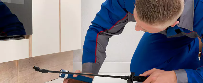 Termite Control for Children and Pets in Pflugerville, TX