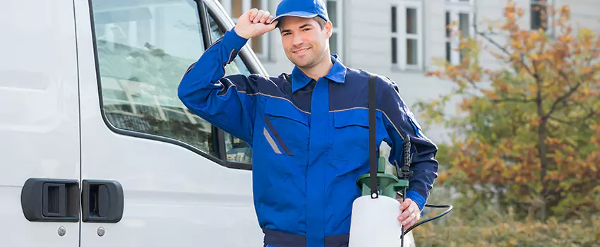 Whitefly Treatment for Bedrooms Pflugerville, TX