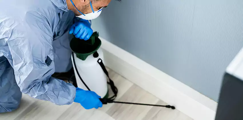 commercial-pest-exterminator in Pflugerville, TX