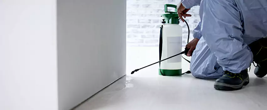 residential-pest in Pflugerville, TX