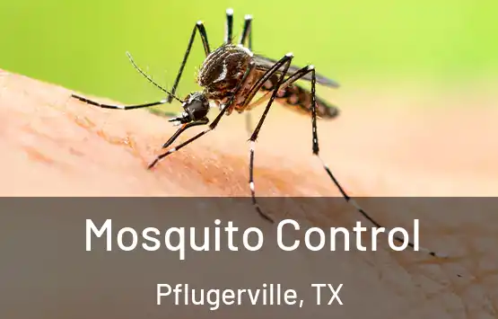  Mosquito Control Pflugerville, TX