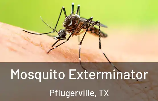  Mosquito Exterminator Pflugerville, TX