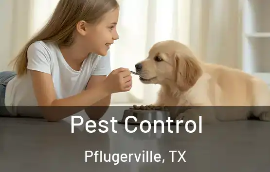  Pest Control Pflugerville, TX