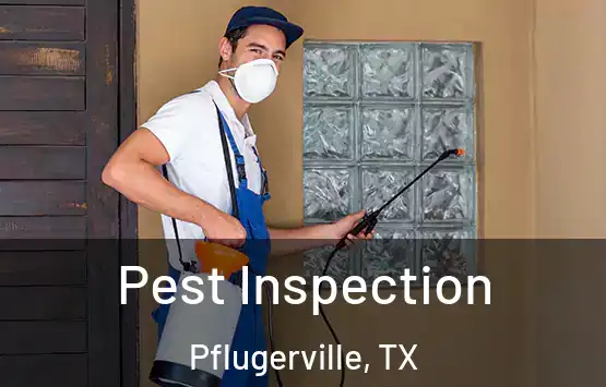  Pest Inspection Pflugerville, TX
