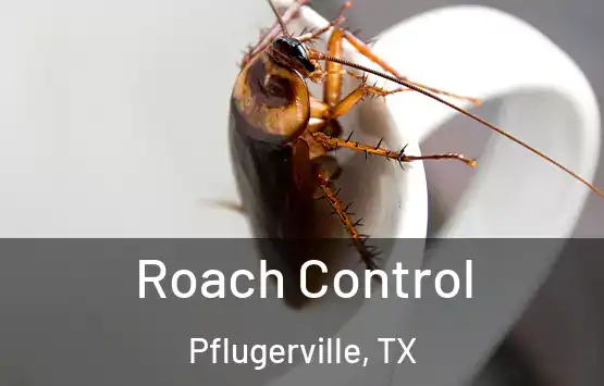  Roach Control Pflugerville, TX