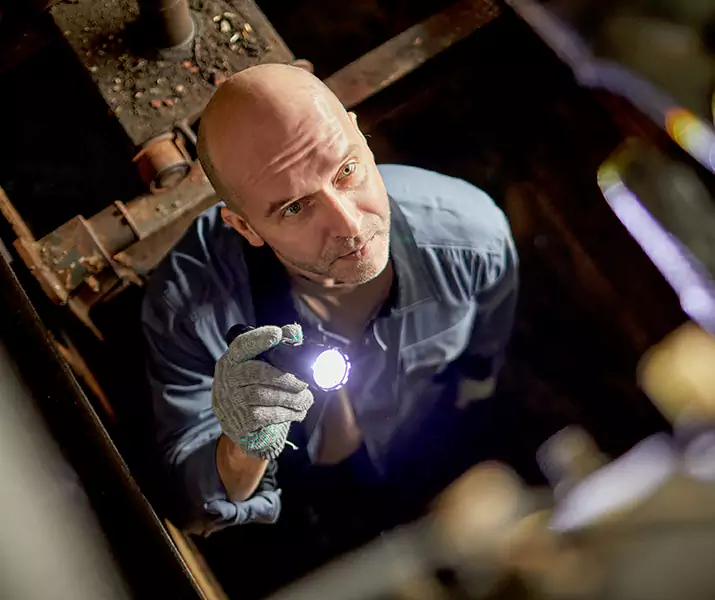 About Pest Inspection Pflugerville