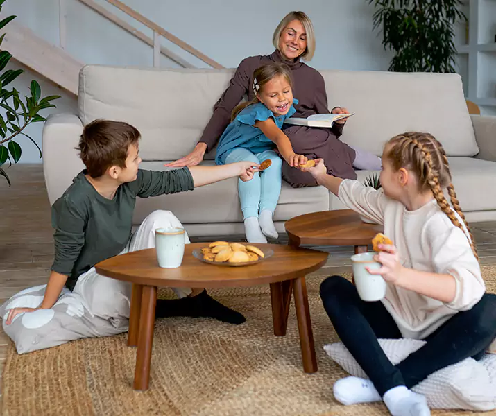 About Spider Exterminator Pflugerville