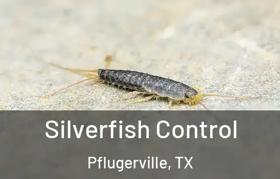  Silverfish Control Pflugerville, TX