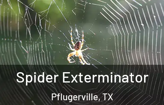  Spider Exterminator Pflugerville, TX