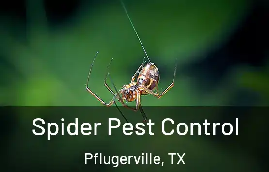  Spider Pest Control Pflugerville, TX