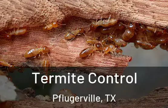  Termite Control Pflugerville, TX