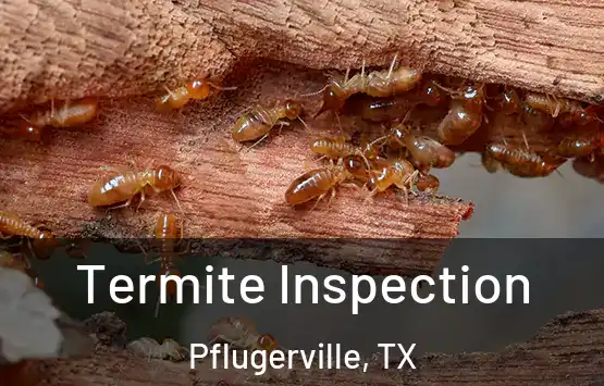  Termite Inspection Pflugerville, TX