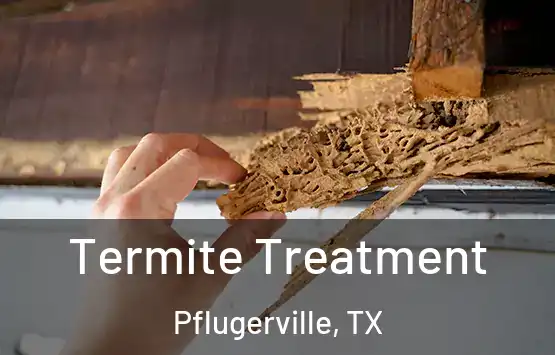  Termite Treatment Pflugerville, TX