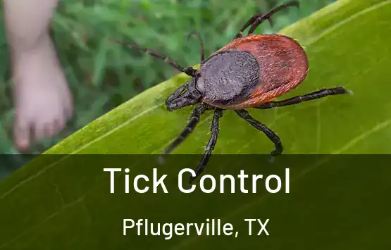  Tick Control Pflugerville, TX