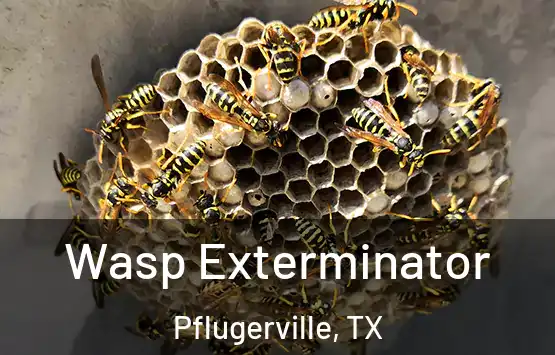  Wasp Exterminator Pflugerville, TX