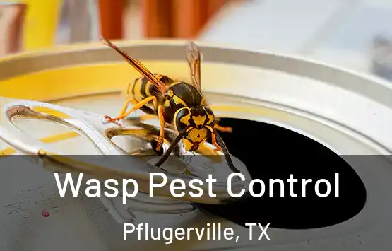  Wasp Pest Control Pflugerville, TX