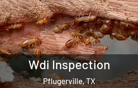  Wdi Inspection Pflugerville, TX