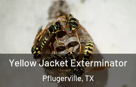  Yellow Jacket Exterminator Pflugerville, TX